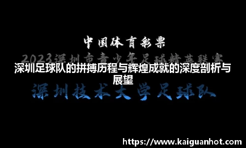 深圳足球队的拼搏历程与辉煌成就的深度剖析与展望