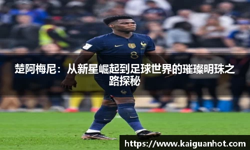 MK体育官网